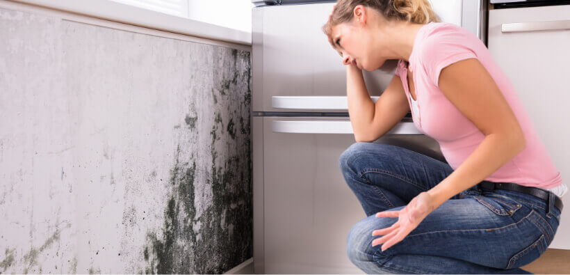 image-What Should I Do If I Find Mold in My Home_-lg
