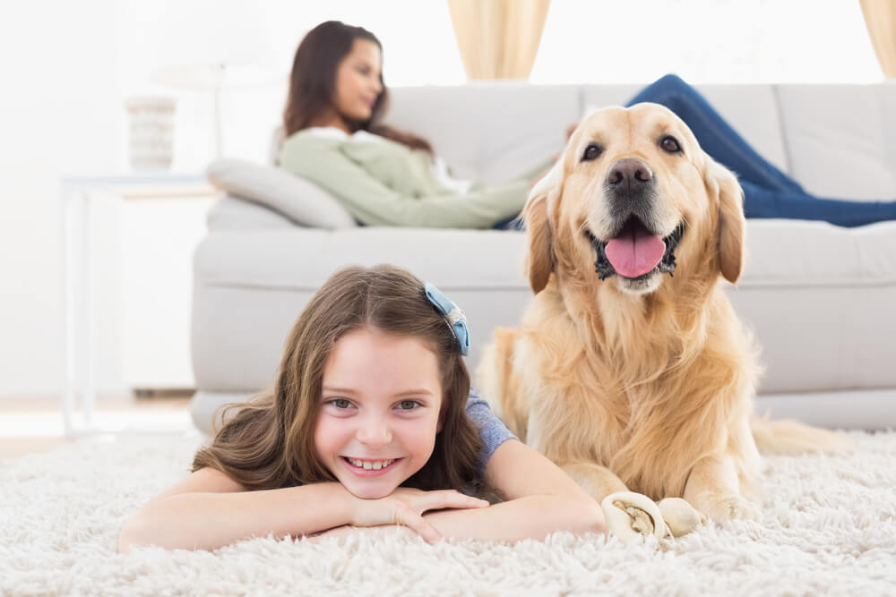 Homeowners Insurance Girl with dog on her home living with homeowners insurance
