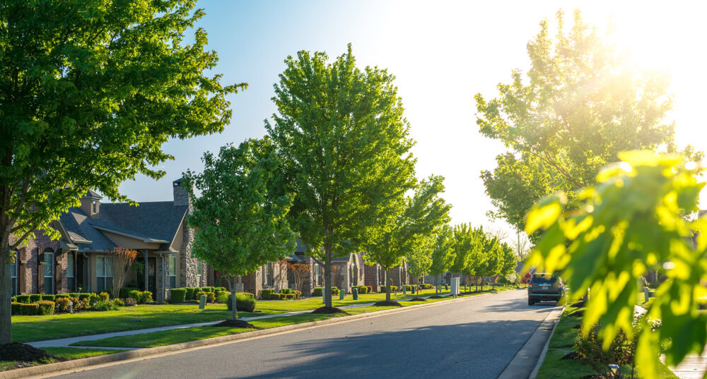 A line of homes in a neighborhood with plenty of trees presenting a home hazard threat - best homeowners insurance.