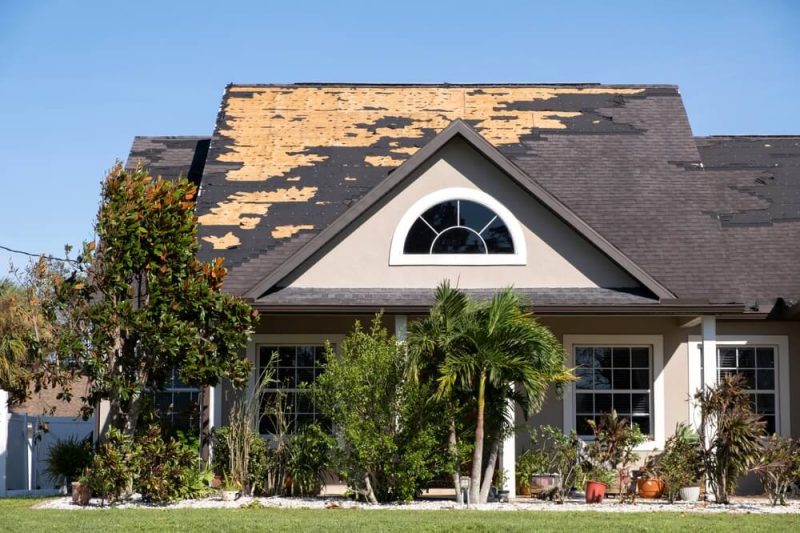 What Is an Insurance Premium? | InsureOne