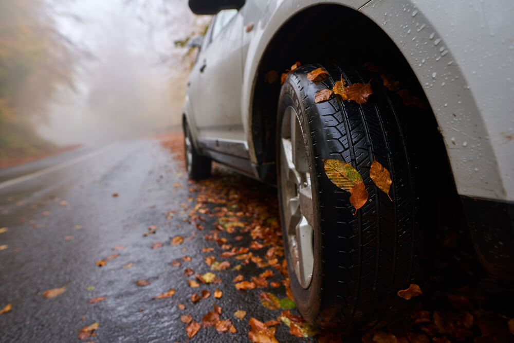 ino-fall-driving-hazards-how-to-stay-safe-on-wet-leaf-covered-roads-1 Closeup of a car with leaves stuck on wheels on a wet road in the autumn, concept of driving safely in fall in rain and leaves, good car insurance.