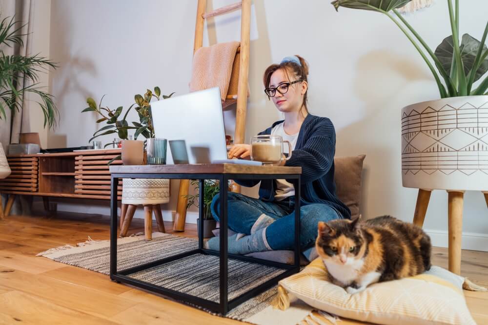 Remote professional working from a home office with a laptop and pet, illustrating the business insurance needs of remote work, including home-based business protection and equipment coverage.