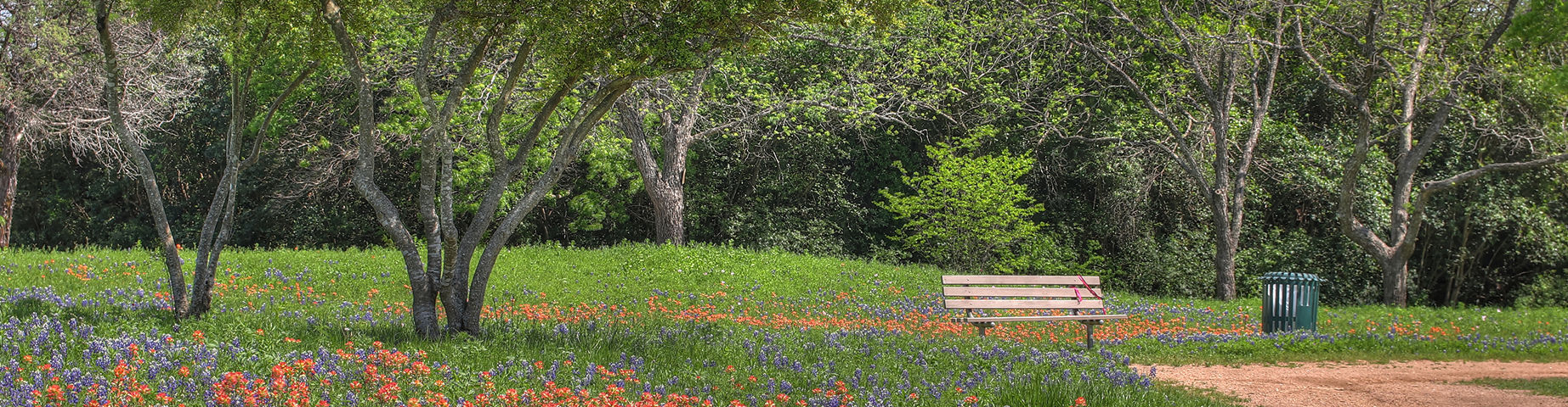 Spring in Waco – best home insurance in Texas.