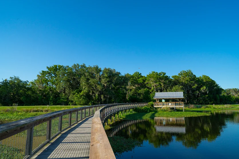 Sweetwater Wetlands Park, a nature preserve in Gainesville, Florida, is a must see tour destination. The trails and boardwalks let people learn about the habitat through educational sign and tour.