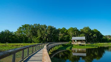 Sweetwater Wetlands Park, a nature preserve in Gainesville, Florida, is a must see tour destination. The trails and boardwalks let people learn about the habitat through educational sign and tour.