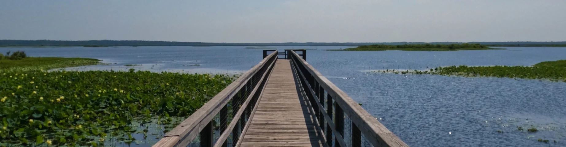 Views around Paynes Prairie Preserve State Park in Gainesville – best home insurance in Florida.