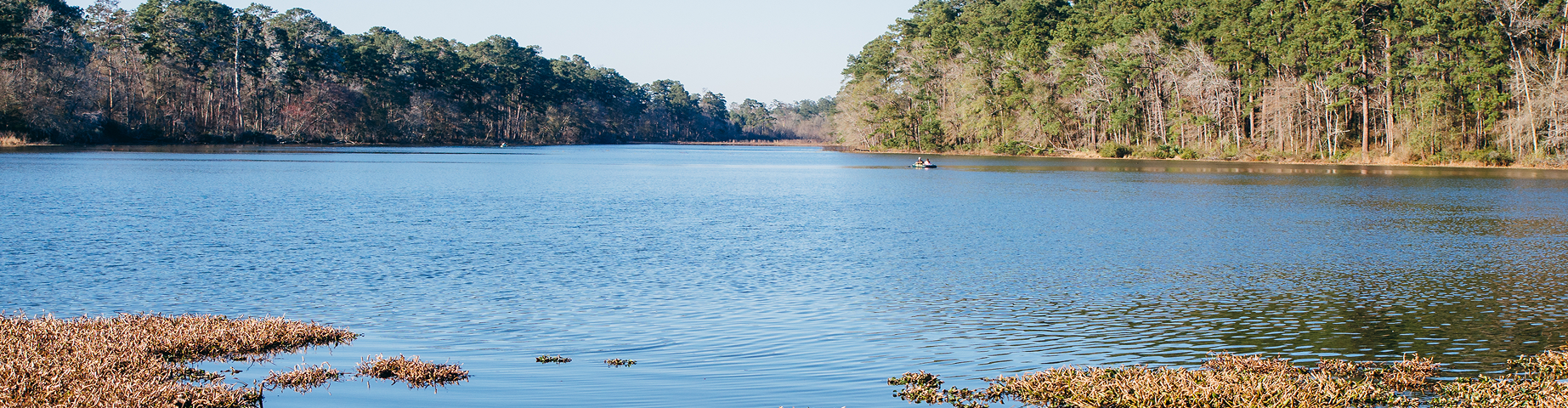Huntsville State Park - best homeowners insurance in Texas.