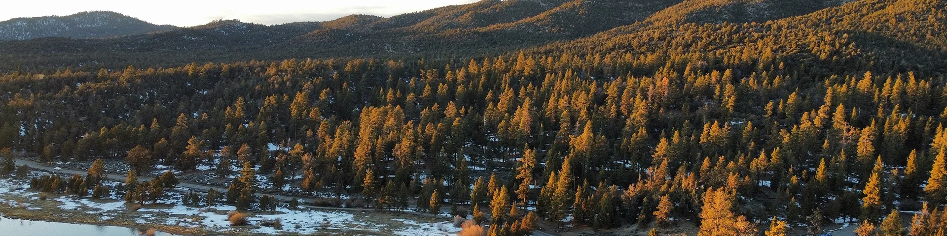 San Bernardino National Forest at Big Bear Lake