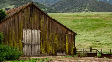 An old weathered moss covered barn stands on a hillside in Salinas Valley of Monterey County - Full-service car insurance in California.