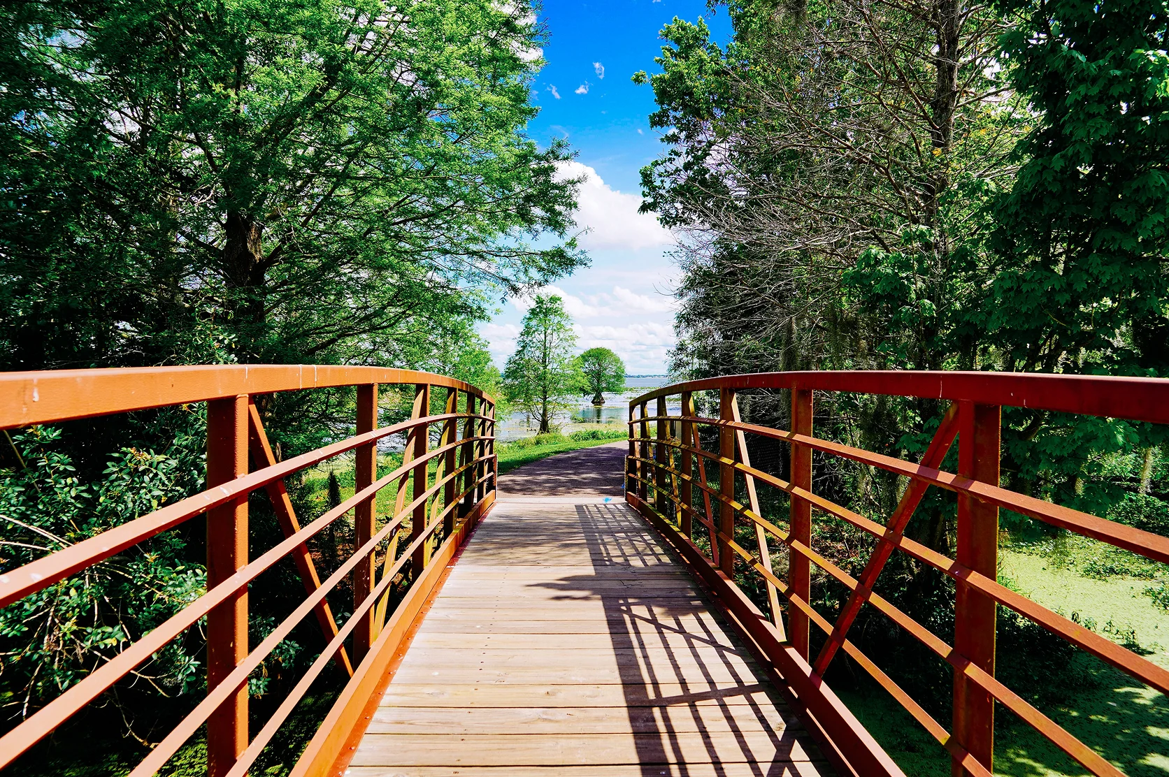The landscape of Lake parker in Lakeland - Best car insurance in Florida.