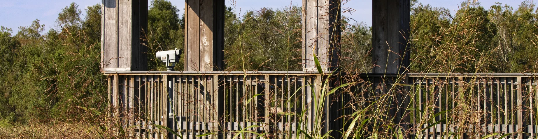 Scenic Louisiana birding and wildlife watching from public recreation viewing deck equipped with scope at Cameron Prairie National Wildlife Refuge – best home insurance in Louisiana.