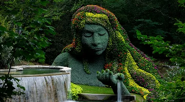 Beautiful Mother Nature in a green forest in Atlanta.