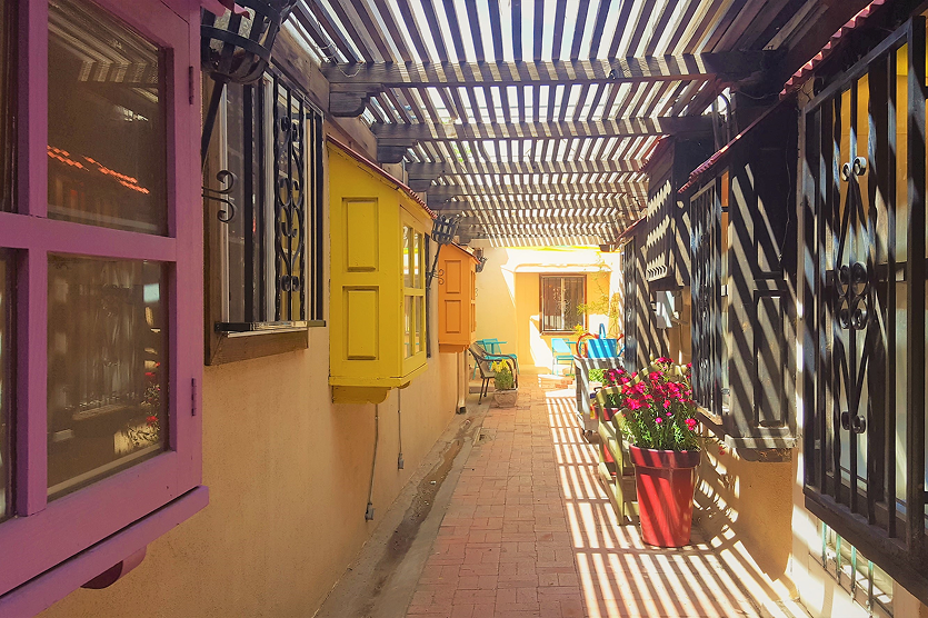 Sunny passage walk-through with flowers in Albuquerque – best car insurance in New Mexico.