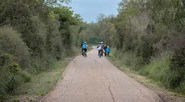 Family bike riding at Bentsen Rio grande Valley State Park in South Texas.
