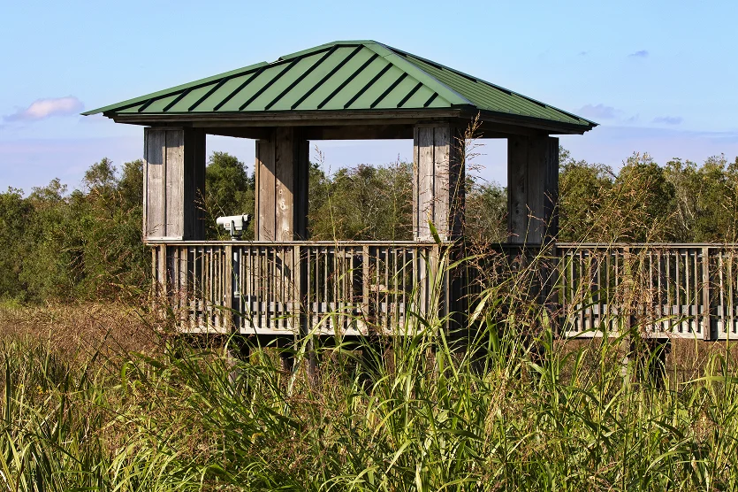 Scenic Louisiana birding and wildlife watching from public recreation viewing deck equipped with scope at Cameron Prairie National Wildlife Refuge – best home insurance in Louisiana.