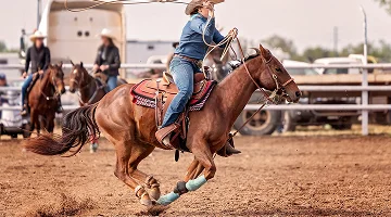 Female rider competing in barrel race on horse at rodeo - best homeowners insurance in Texas.