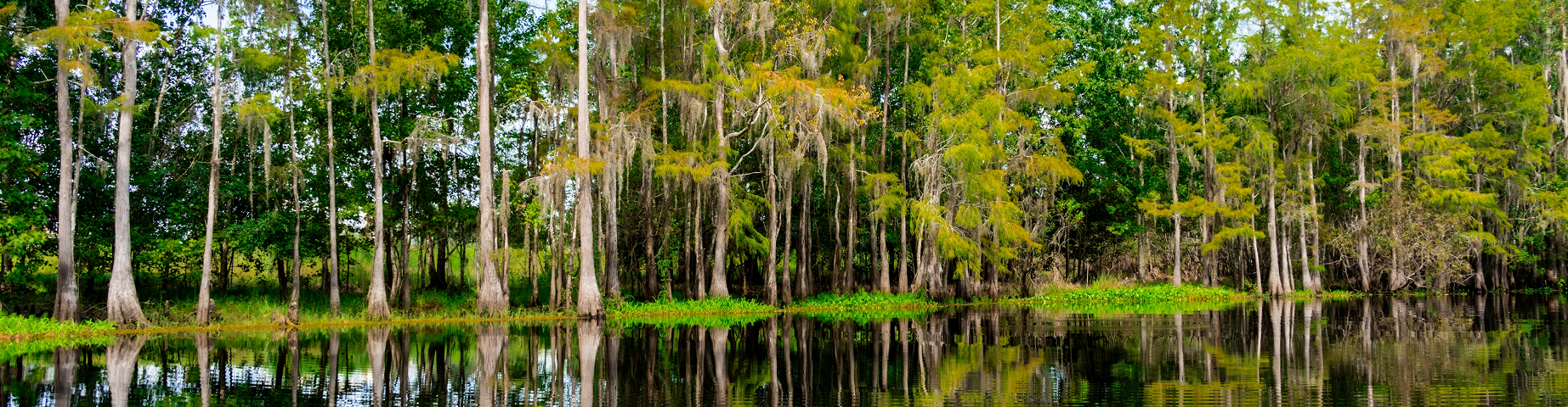 Kissimmee Florida Adventure Lake with Kayak - great home insurance in Florida.