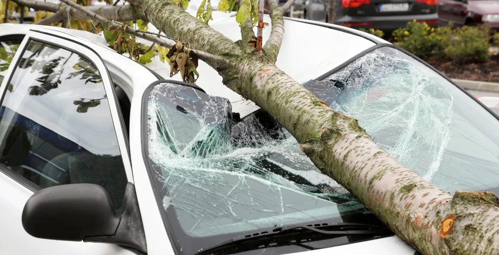 A storm causes a tree to crush a vehicle, damage that is covered under a full coverage policy. 