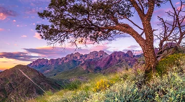 Las Cruces New Mexico