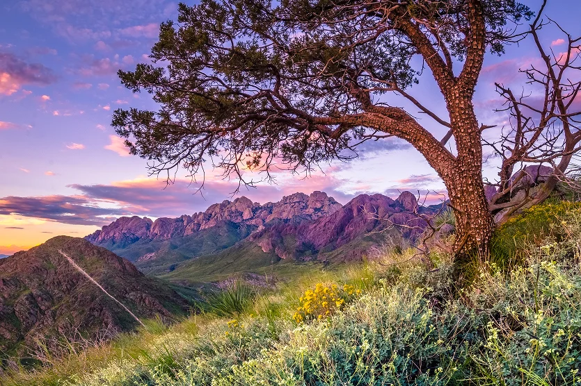 Las Cruces New Mexico