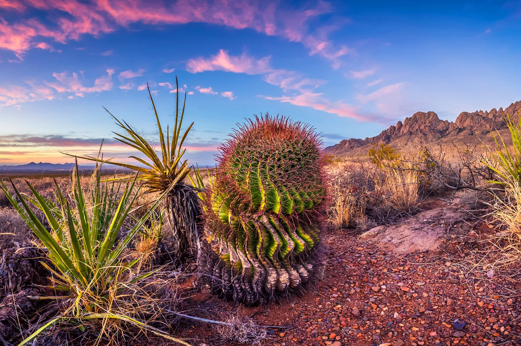 Las Cruces New Mexico.