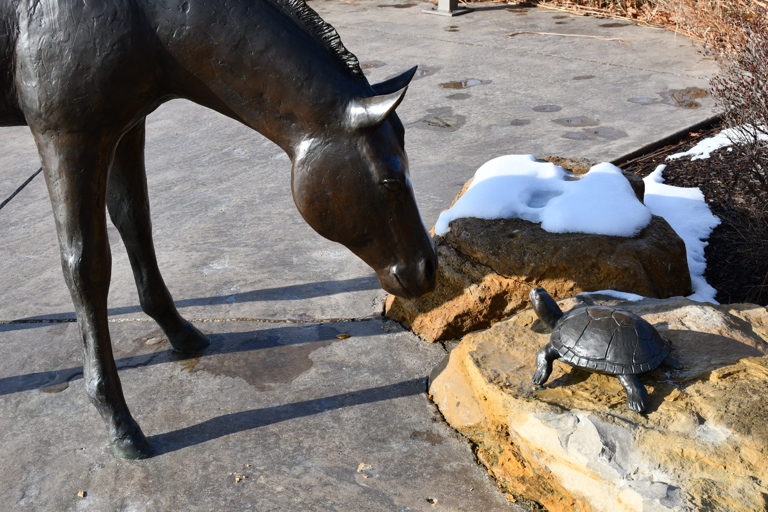 A statue of a horse looking at a statue of a turtle in a park in Overland Park, Kansas. Snow is on the ground.