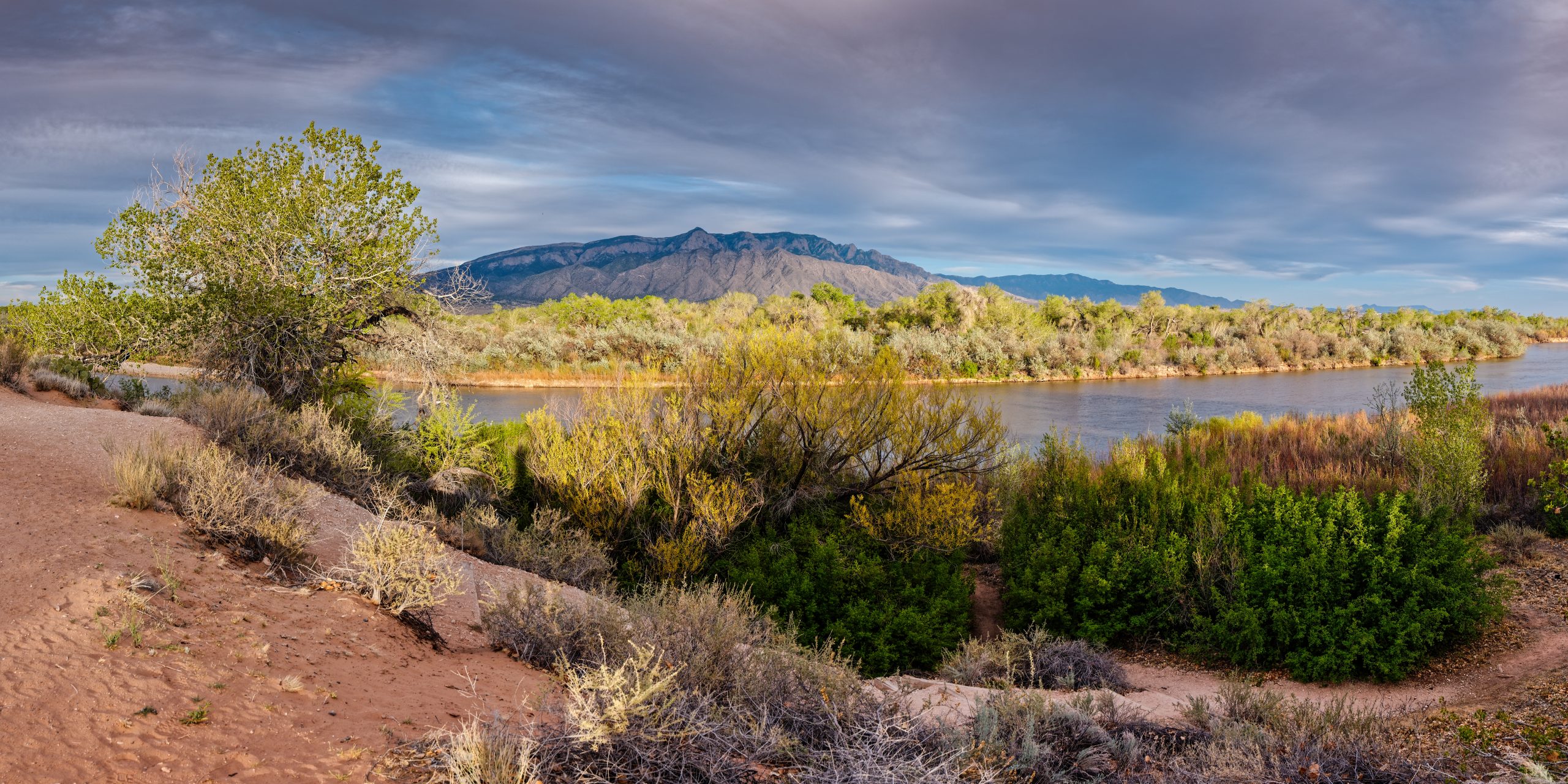 Panorama of Sandia Mountains, Bosque, and Rio Grande from Rio Rancho Bosque Preserve – Albuquerque.