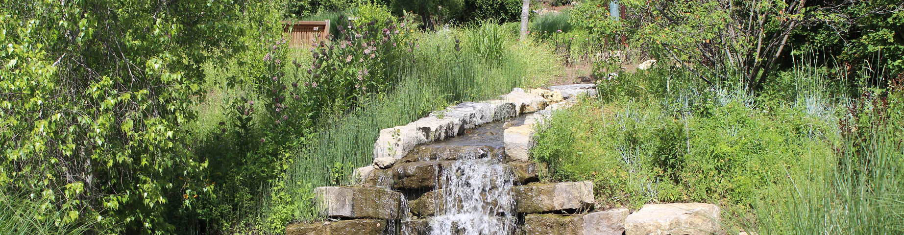Waterfall at Overland Park Arboretum & Botanical Gardens in Spring Time