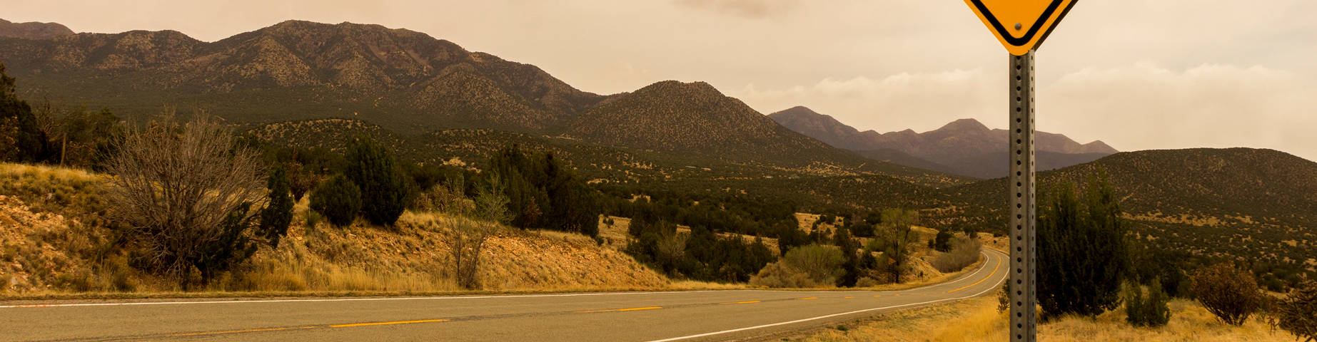 Cow Alien Abduction Road Sign along the Turqoise Trail, Route 66 Scenic Byway, in springtime between Santa Fe and Albuquerque, New Mexico.