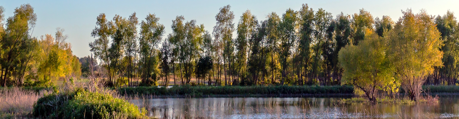 Landscape of the Marais Temps Clair wetland conservation area in Saint Charles County Missouri.