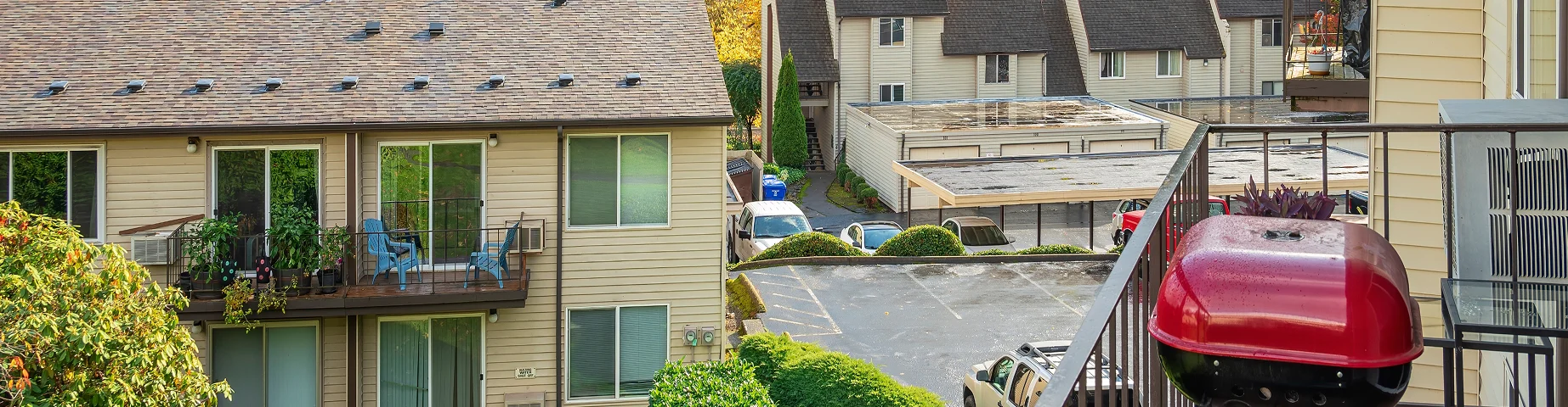 Splash of Autumn colors in a neighborhood Gresham Oregon.