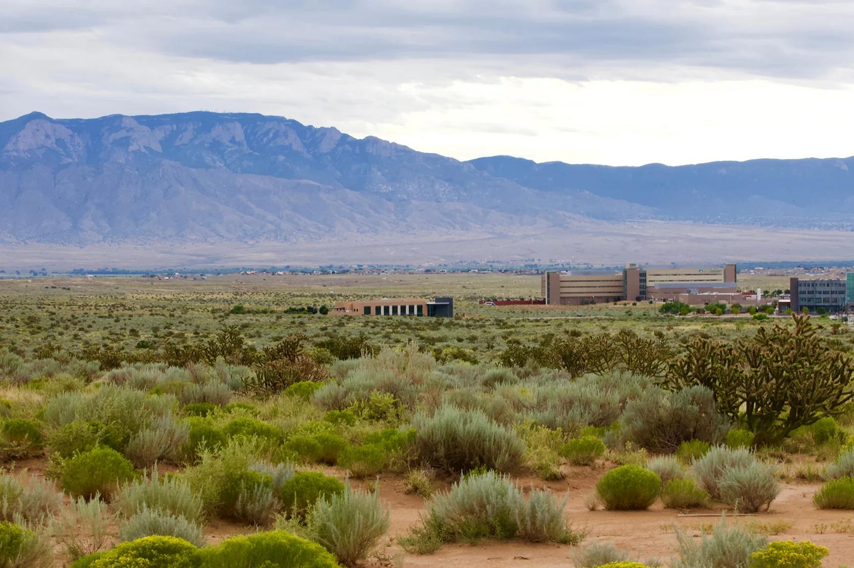 Rio Rancho, New Mexico desert landscape