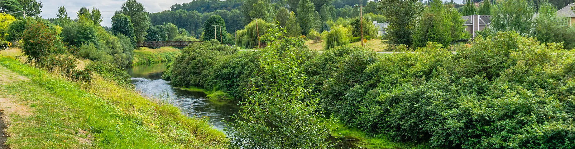 A view of the Green River in Kent, Washington in summertime.