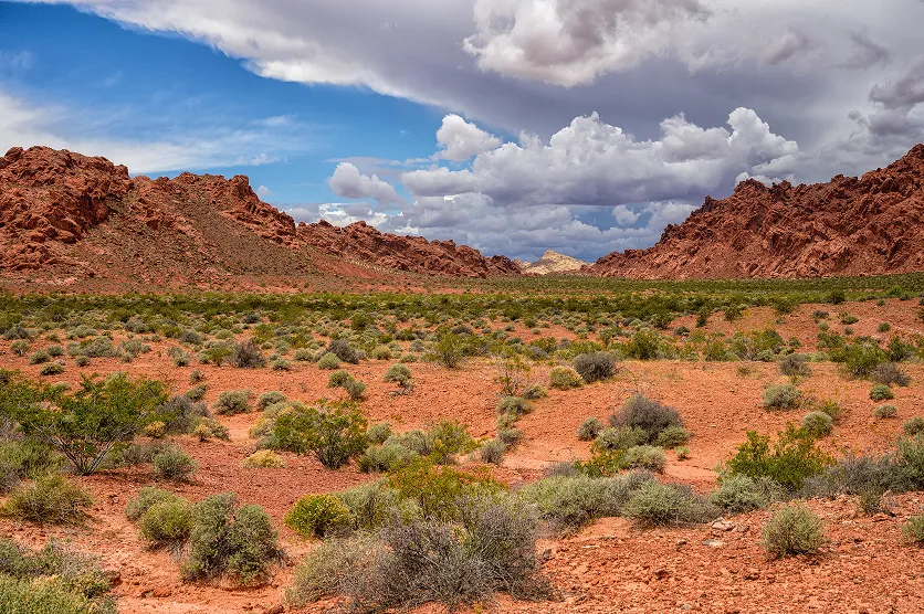 Valley of Fire is a Nevada state park that received its name from its unique rock formations and colors. It is located 50 miles northeast of Las Vegas.
