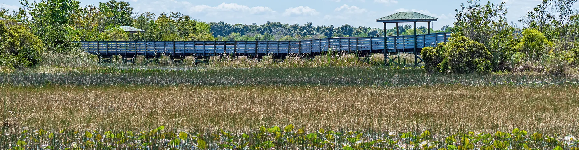 Boardwalk over wetlands area - Chapel Trail Nature Preserve, Pembroke Pines, Florida, USA