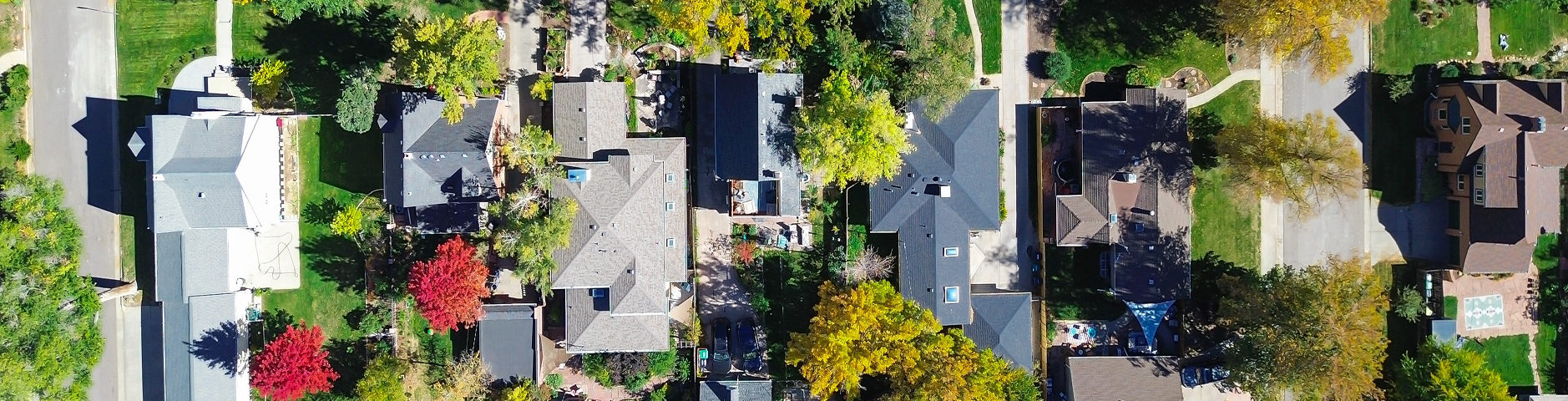 Straight-down drone view of a Denver, Colorado neighborhood shows two-story homes tucked beneath dense fall foliage – homeowners insurance in Denver, CO.
