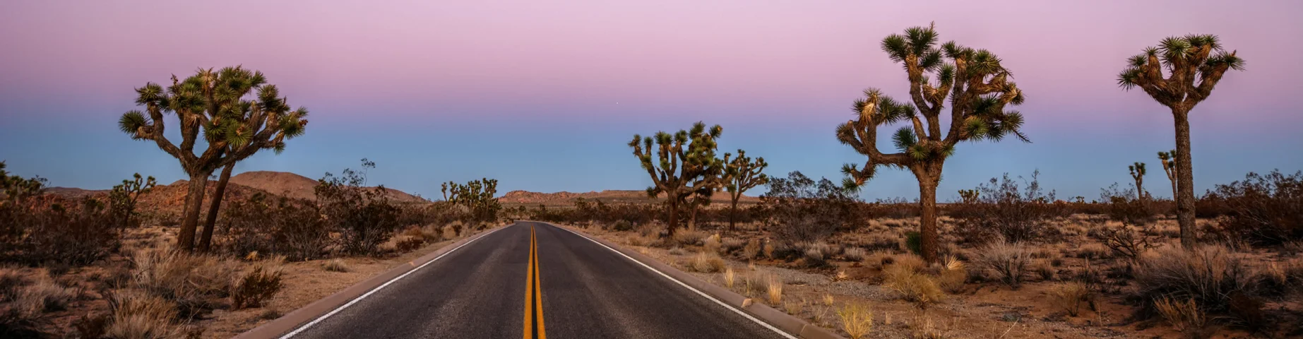 Straight two-lane highway through the Nevada desert at dusk, lined with Joshua trees and desert shrubs beneath a soft purple and pink twilight sky.